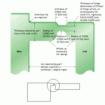 Living hinge