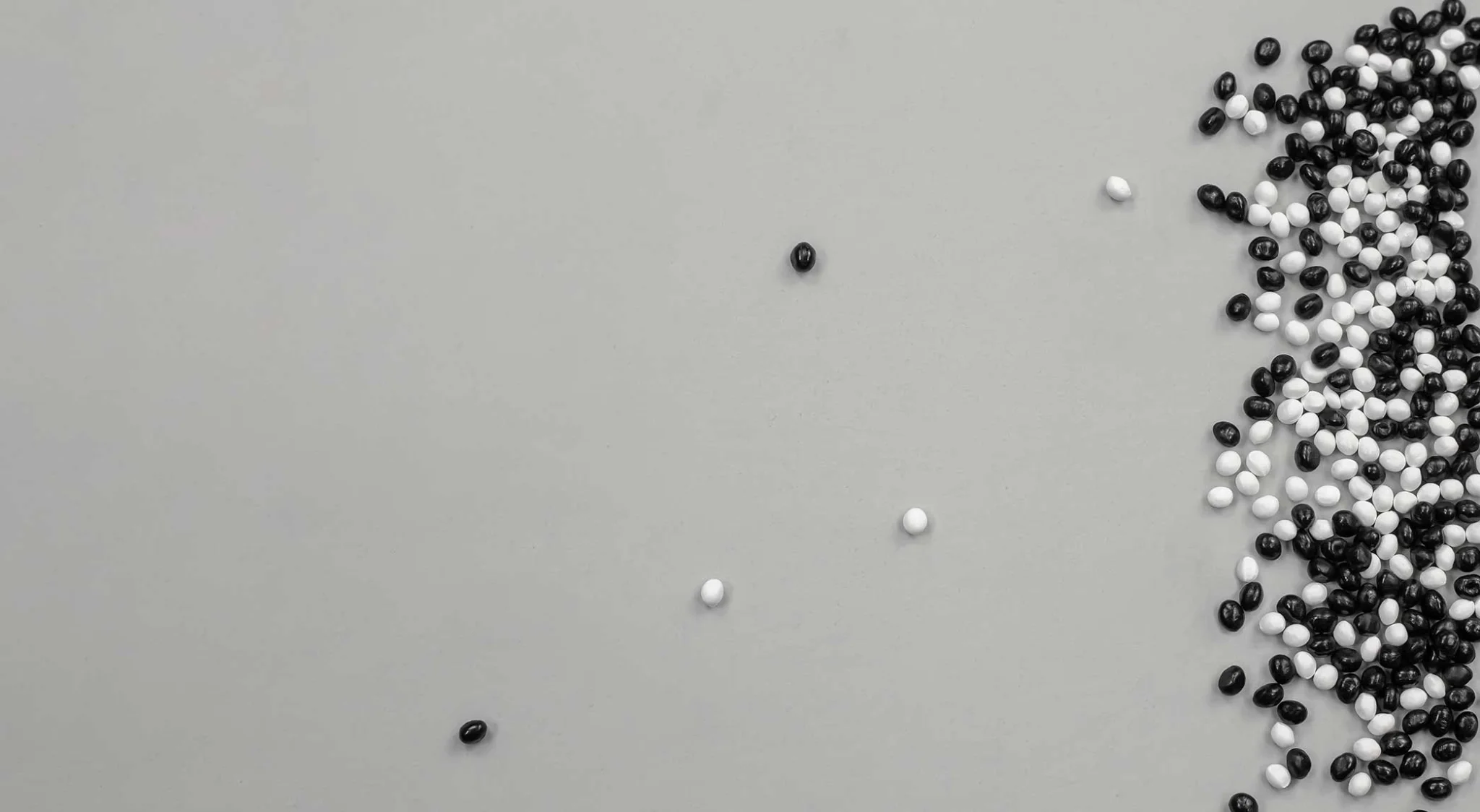 Black and white pellets scattered randomly